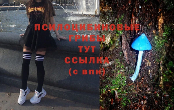 МДМА Алексеевка