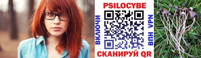 Псилоцибиновые грибы Psilocybine cubensis как найти закладки Канаш