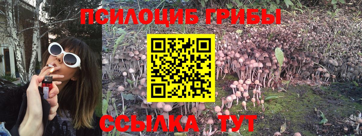 наркошоп  Вход с VPN  Канаш  Галлюциногенные грибы Psilocybine cubensis 